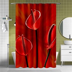 Flowers Red Shower Curtain 48  X 72  (small)  by Askadina