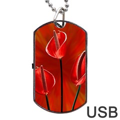 Flowers Red Dog Tag Usb Flash (one Side) by Askadina