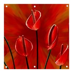 Flowers Red Banner and Sign 3  x 3  Front