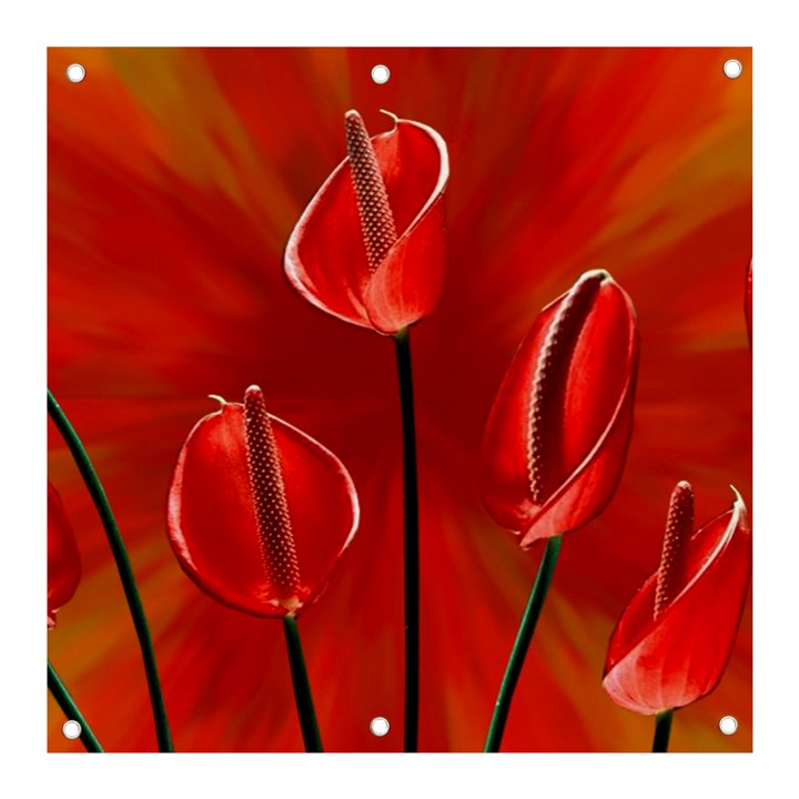 Flowers Red Banner and Sign 3  x 3 