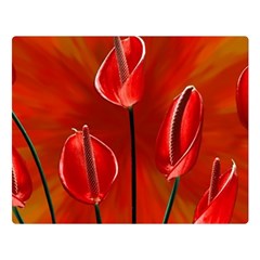 Flowers Red Premium Plush Fleece Blanket (large) by Askadina