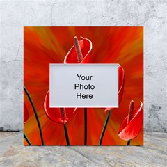 Flowers Red White Box Photo Frame 4  X 6  by Askadina