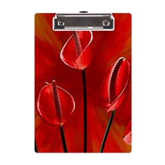 Flowers Red A5 Acrylic Clipboard