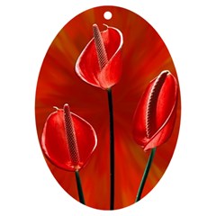 Flowers Red Uv Print Acrylic Ornament Oval by Askadina