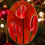 Flowers Red UV Print Acrylic Ornament Oval Front