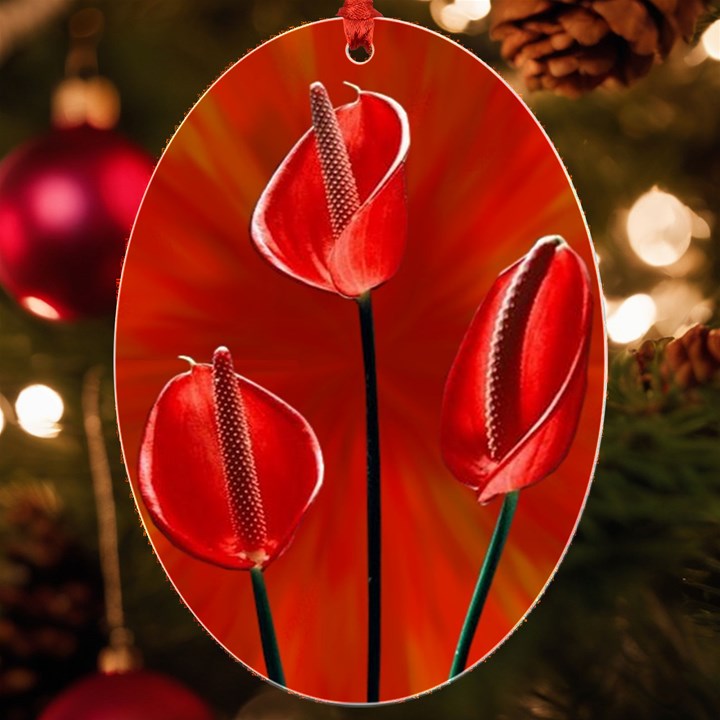 Flowers Red UV Print Acrylic Ornament Oval