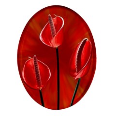 Flowers Red Oval Glass Fridge Magnet (4 Pack) by Askadina