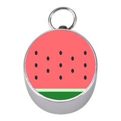 Watermelon Melon Fruit Healthy Food Meal Breakfast Lunch Juice Lemonade Summer Mini Silver Compasses by Maspions