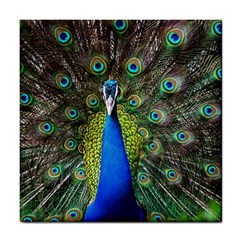 Peacock Bird Feathers Pheasant Nature Animal Texture Pattern Tile Coaster by Bedest