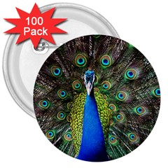 Peacock Bird Feathers Pheasant Nature Animal Texture Pattern 3  Buttons (100 Pack)  by Bedest