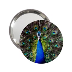 Peacock Bird Feathers Pheasant Nature Animal Texture Pattern 2 25  Handbag Mirrors