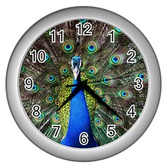 Peacock Bird Feathers Pheasant Nature Animal Texture Pattern Wall Clock (silver) by Bedest