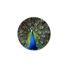 Peacock Bird Feathers Pheasant Nature Animal Texture Pattern Golf Ball Marker by Bedest