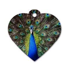 Peacock Bird Feathers Pheasant Nature Animal Texture Pattern Dog Tag Heart (two Sides) by Bedest