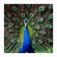 Peacock Bird Feathers Pheasant Nature Animal Texture Pattern Medium Glasses Cloth (2 Sides) by Bedest