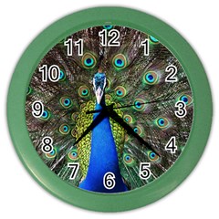 Peacock Bird Feathers Pheasant Nature Animal Texture Pattern Color Wall Clock by Bedest