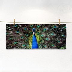 Peacock Bird Feathers Pheasant Nature Animal Texture Pattern Hand Towel by Bedest