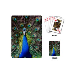 Peacock Bird Feathers Pheasant Nature Animal Texture Pattern Playing Cards Single Design (mini) by Bedest