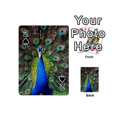 Peacock Bird Feathers Pheasant Nature Animal Texture Pattern Playing Cards 54 Designs (mini) by Bedest