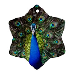 Peacock Bird Feathers Pheasant Nature Animal Texture Pattern Snowflake Ornament (two Sides) by Bedest