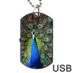 Peacock Bird Feathers Pheasant Nature Animal Texture Pattern Dog Tag Usb Flash (two Sides) by Bedest