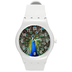 Peacock Bird Feathers Pheasant Nature Animal Texture Pattern Round Plastic Sport Watch (m)