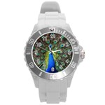 Peacock Bird Feathers Pheasant Nature Animal Texture Pattern Round Plastic Sport Watch (L) Front