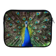 Peacock Bird Feathers Pheasant Nature Animal Texture Pattern Apple Ipad 2/3/4 Zipper Cases by Bedest