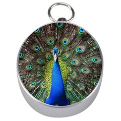 Peacock Bird Feathers Pheasant Nature Animal Texture Pattern Silver Compasses by Bedest