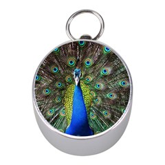 Peacock Bird Feathers Pheasant Nature Animal Texture Pattern Mini Silver Compasses by Bedest