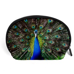 Peacock Bird Feathers Pheasant Nature Animal Texture Pattern Accessory Pouch (large) by Bedest