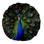 Peacock Bird Feathers Pheasant Nature Animal Texture Pattern Large 18  Premium Flano Round Cushions Front