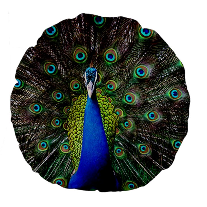 Peacock Bird Feathers Pheasant Nature Animal Texture Pattern Large 18  Premium Flano Round Cushions