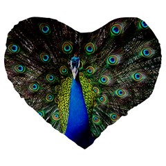 Peacock Bird Feathers Pheasant Nature Animal Texture Pattern Large 19  Premium Flano Heart Shape Cushions by Bedest