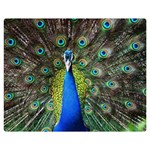 Peacock Bird Feathers Pheasant Nature Animal Texture Pattern Two Sides Premium Plush Fleece Blanket (Teen Size) 60 x50  Blanket Front