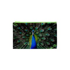 Peacock Bird Feathers Pheasant Nature Animal Texture Pattern Cosmetic Bag (xs) by Bedest