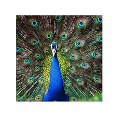 Peacock Bird Feathers Pheasant Nature Animal Texture Pattern Square Satin Scarf (30  X 30 ) by Bedest