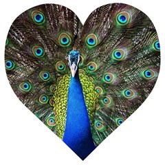 Peacock Bird Feathers Pheasant Nature Animal Texture Pattern Wooden Puzzle Heart