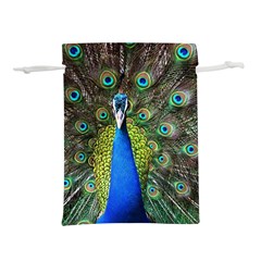 Peacock Bird Feathers Pheasant Nature Animal Texture Pattern Lightweight Drawstring Pouch (s) by Bedest