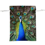 Peacock Bird Feathers Pheasant Nature Animal Texture Pattern Lightweight Drawstring Pouch (XL) Back