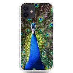 Peacock Bird Feathers Pheasant Nature Animal Texture Pattern Iphone 12/12 Pro Tpu Uv Print Case by Bedest