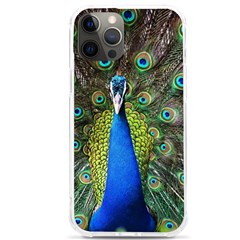 Peacock Bird Feathers Pheasant Nature Animal Texture Pattern Iphone 12 Pro Max Tpu Uv Print Case by Bedest