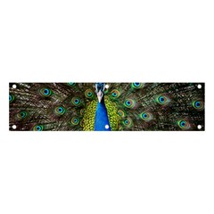 Peacock Bird Feathers Pheasant Nature Animal Texture Pattern Banner And Sign 4  X 1  by Bedest