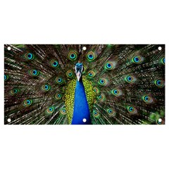 Peacock Bird Feathers Pheasant Nature Animal Texture Pattern Banner And Sign 4  X 2  by Bedest