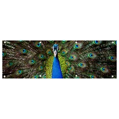 Peacock Bird Feathers Pheasant Nature Animal Texture Pattern Banner And Sign 9  X 3  by Bedest