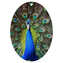 Peacock Bird Feathers Pheasant Nature Animal Texture Pattern Uv Print Acrylic Ornament Oval by Bedest