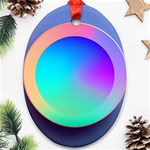 Circle Colorful Rainbow Spectrum Button Gradient Oval Ornament (Two Sides) Front