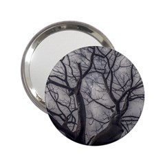 Landscape Forest Ceiba Tree, Guayaquil, Ecuador 2 25  Handbag Mirrors by dflcprintsclothing