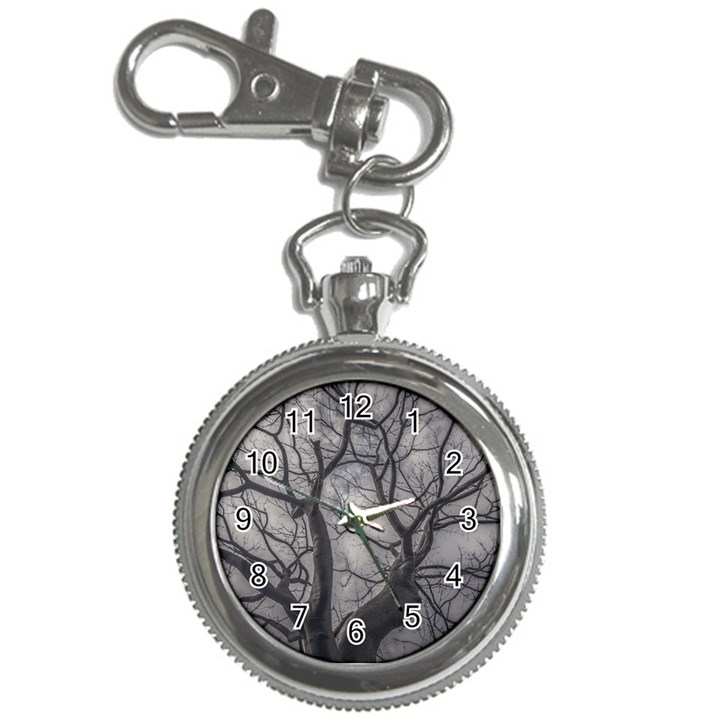 Landscape forest ceiba tree, guayaquil, ecuador Key Chain Watches