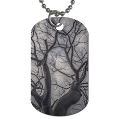 Landscape Forest Ceiba Tree, Guayaquil, Ecuador Dog Tag (two Sides) by dflcprintsclothing